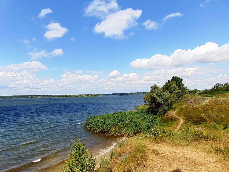 «Печенізьке поле»
